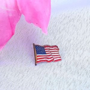 Vtg Flag Lapel Pin